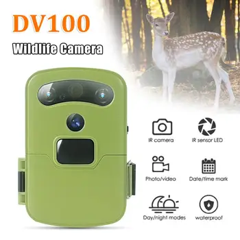 1080P Wildlife Trail Camera Фотоловушка Инфрачервени Ловни Камери DV100 Wildlife WIFI Безжична Камера За наблюдение на Дивата Природа